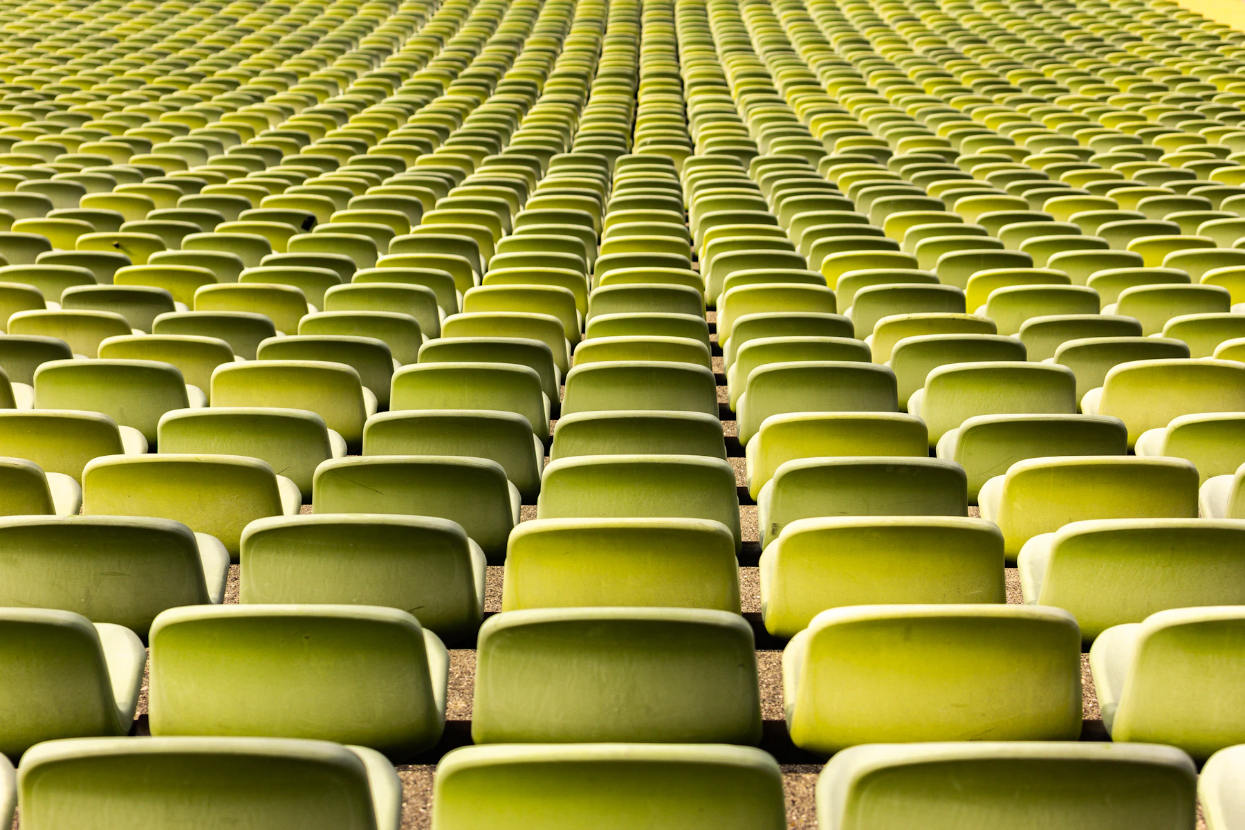 Rows of empty olive green seats, seen in architectural perspective